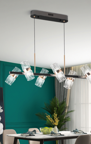 Home Light Iron + Acrylic Material Black + Gold Finished Pendent Light