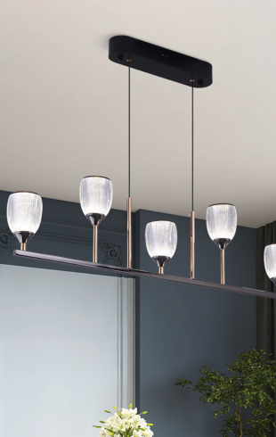 Home Light Iron + Acrylic Material Black + Gold Finished Pendent Light