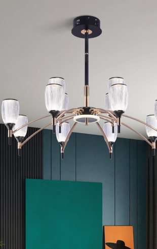 Home Light  Iron + Acrylic    Material Black + Gold Finished Pendent Light