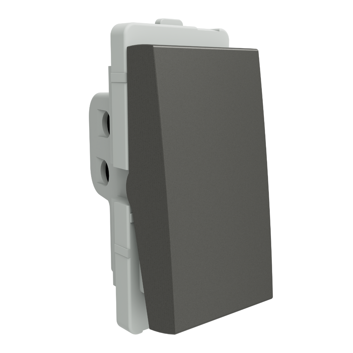 Schneider 10A 1 way SW, PG