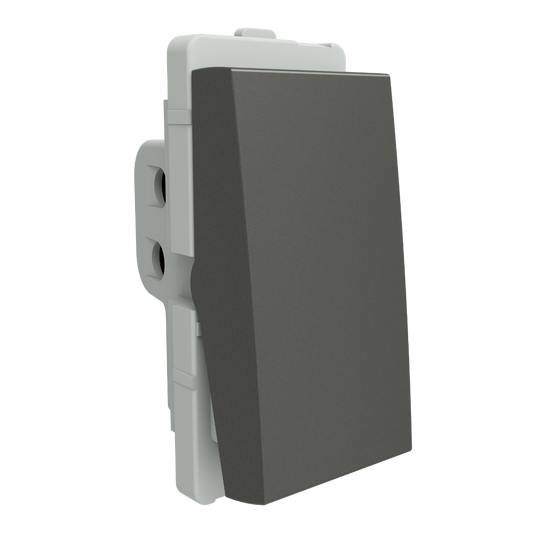 Schneider 10A 1 way SW, PG