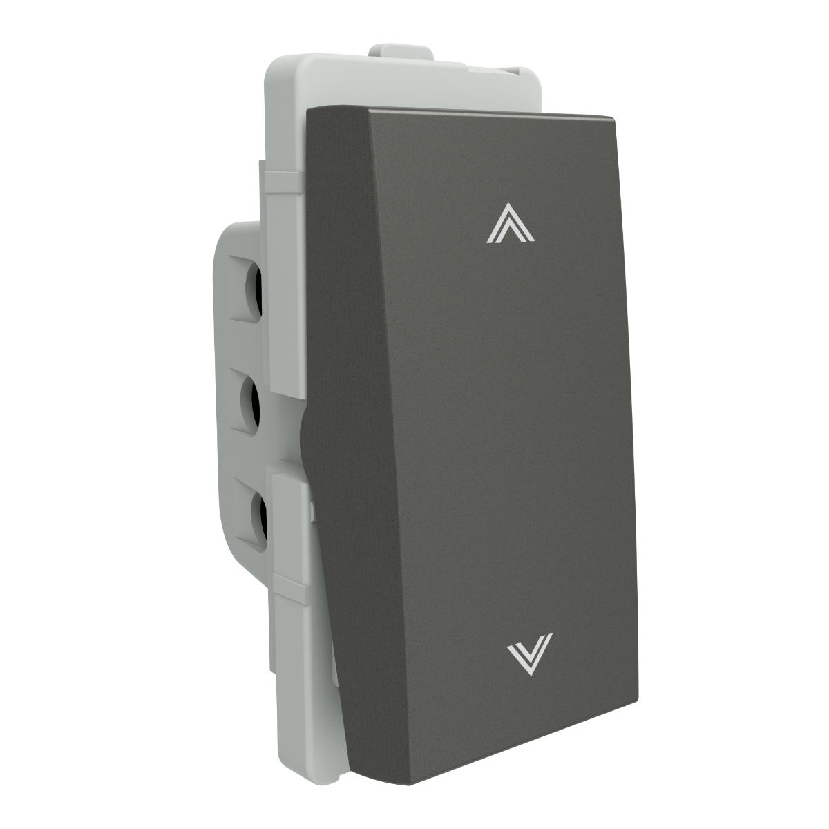 Schneider 10A 2 way SW, PG