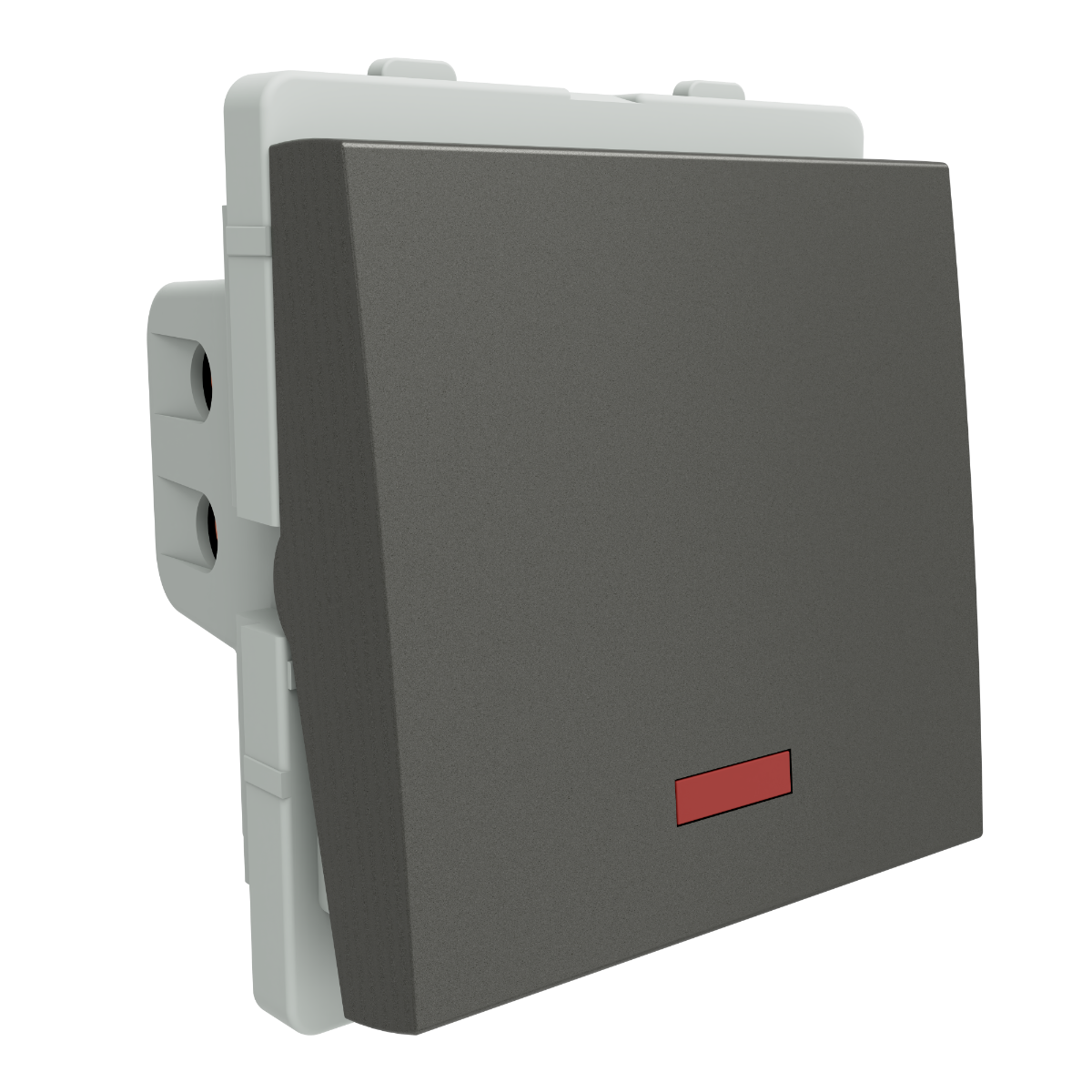 Schneider 32A DP with indicator lamp SW 2M,PG